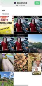 外面收费198的最新视频号连怼技术，条条原创，条条爆单【揭秘】-遨游资源库