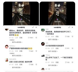 副业拆解:抖音杰伦音乐号涨粉变现项目,视频版一条龙实操玩法分享给你-遨游资源库