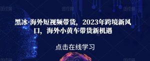 黑冰·海外短视频带货,2023年跨境新风口,海外小黄车带货新机遇-遨游资源库