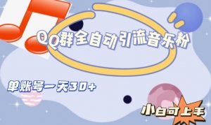 QQ群全自动引流音乐粉，单账号一天轻松引流30+-遨游资源库