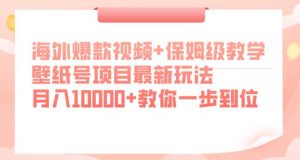 海外爆款视频+保姆级教学，壁纸号项目最新玩法，月入10000+教你一步到位【揭秘】-遨游资源库
