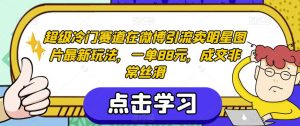 超级冷门赛道在微博引流卖明星图片最新玩法,一单88元,成交非常丝滑【揭秘】-遨游资源库