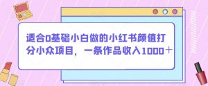 适合0基础小白做的小红书颜值打分小众项目，一条作品收入1000＋【揭秘】-遨游资源库