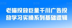 老猫投放巨量千川广告投放学习实操系列基础逻辑-遨游资源库
