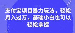 支付宝项目暴力玩法，轻松月入过万，基础小白也可以轻松拿捏【揭秘】-遨游资源库
