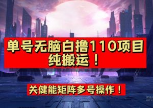 9月全网首发，单号直接白撸110！可多号操作，无脑搬运复制粘贴【揭秘】-遨游资源库