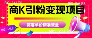 商K引粉变现项目，高客单价精准流量【揭秘】-遨游资源库