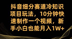 抖音细分赛道冷知识项目玩法，10分钟快速制作一个视频，新手小白也能月入1W+【揭秘】-遨游资源库