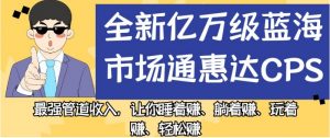 全新亿万级蓝海市场通惠达cps,最强管道收入,让你睡着赚、躺着赚、玩着赚、轻松赚【揭秘】-遨游资源库