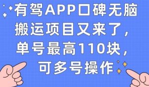 有驾APP口碑无脑搬运项目又来了，单号最高110块，可多号操作-遨游资源库