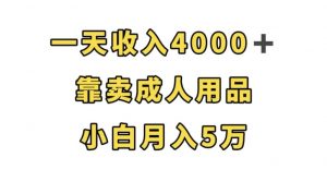 一天收入4000+,靠卖成人用品,小白轻松月入5万【揭秘】-遨游资源库