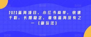 2023蓝海项目，小红书商单，快速千粉，长期稳定，最强蓝海没有之一（新玩法）-遨游资源库
