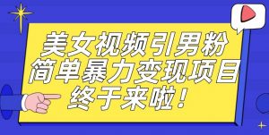 价值3980的男粉暴力引流变现项目，一部手机简单操作，新手小白轻松上手，每日收益500+【揭秘】-遨游资源库