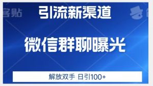 价值2980的全新微信引流技术，只有你想不到，没有做不到【揭秘】-遨游资源库