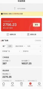 拼多多无人直播不封号玩法，0投入，3天必起，日入1000+-遨游资源库