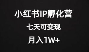 价值2000+的小红书IP孵化营项目，超级大蓝海，七天即可开始变现，稳定月入1W+-遨游资源库
