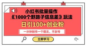 小红书批量操作《1000个野路子信息差》玩法，一分钟制作一个图文，不封号，日引100+创业粉-遨游资源库