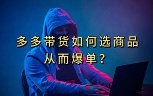 多多视频带货选什么商品链接才能爆单，10分钟教会你，爆单不是浮云【揭秘】-遨游资源库