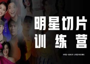 王子·明星切片线上训练营（2023），和明星一起拿红利，让明星为我们赚钱-遨游资源库