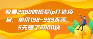 收费2980的塔罗ip打造项目,单价198-999不等,5天赚了2000块【揭秘】-遨游资源库