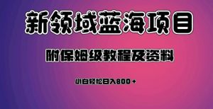 虚拟资源蓝海领域新项目，轻松日入800＋，附保姆级教程及资料-遨游资源库