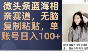 微头条蓝海相亲赛道，无脑复制粘贴，单账号日入100+-遨游资源库