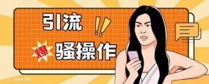 最新引流骚操作，单账号日引50-100，简单粗暴，适合于小白各行各业都可以进行操作，精准粉丝加到爆-遨游资源库