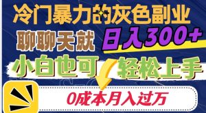 冷门暴利的副业项目，聊聊天就能日入300+，0成本月入过万【揭秘】-遨游资源库