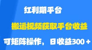 搬运视频获取平台收益，平台红利期，附保姆级教程【揭秘】-遨游资源库