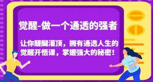 觉醒-做一个通透的强者，让你醍醐灌顶，拥有通透人生的觉醒开悟课，掌握强大的秘密！-遨游资源库