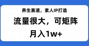 养生赛道,素人IP打造,流量很大,可矩阵,月入1w+【揭秘】-遨游资源库