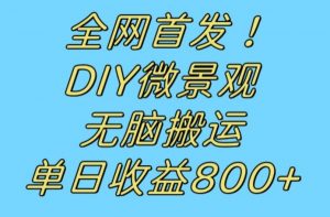 全网首发冷门赛道!DIY微景观,无脑搬运视频,日收益800+【揭秘】-遨游资源库