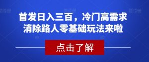 首发日入三百，冷门高需求消除路人零基础玩法来啦【揭秘】-遨游资源库