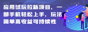 应用试玩拉新项目，一部手机轻松上手，玩法简单高收益可持续性【揭秘】-遨游资源库