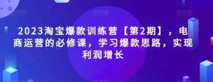2023淘宝爆款训练营【第2期】，电商运营的必修课，学习爆款思路，实现利润增长-遨游资源库