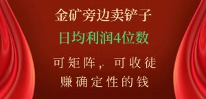 金矿旁边卖铲子，赚确定性的钱，可矩阵，可收徒，日均利润4位数【揭秘】-遨游资源库