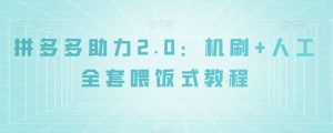 拼多多助力2.0：机刷+人工全套喂饭式教程【揭秘】-遨游资源库