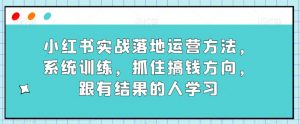 小红书实战落地运营方法，系统训练，抓住搞钱方向，跟有结果的人学习-遨游资源库