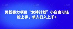 男粉暴力项目“女神计划”小白也可轻松上手，单人日入上千+【揭秘】-遨游资源库