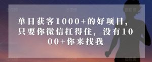 单日获客1000+的好项目，只要你微信扛得住，没有1000+你来找我【揭秘】-遨游资源库