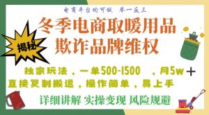 利用电商平台冬季销售取暖用品欺诈行为合理制裁店铺，单日入900+【仅揭秘】-遨游资源库