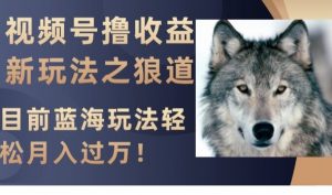 视频号撸收益新玩法之狼道，目前蓝海玩法，轻松月入过万【揭秘】-遨游资源库