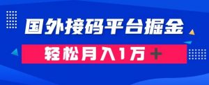 通过国外接码平台掘金：成本1.3，利润10＋，轻松月入1万＋【揭秘】-遨游资源库