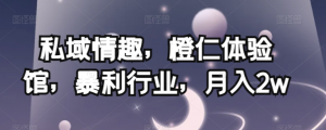 私域情趣，橙仁体验馆，暴利行业，月入2w【揭秘】-遨游资源库
