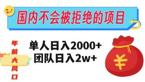 在国内不怕被拒绝的项目,单人日入2000,团队日入20000+【揭秘】-遨游资源库