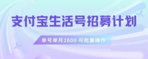 支付宝生活号作者招募计划，单号单月2600，可批量去做，工作室一人一个月轻松1w+【揭秘】-遨游资源库