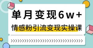 单月变现6W+，抖音情感粉引流变现实操课，小白可做，轻松上手，独家赛道【揭秘】-遨游资源库