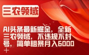 AI头条最新掘金，全新三农领域，不违规不封号，简单粗暴月入6000＋【揭秘】-遨游资源库