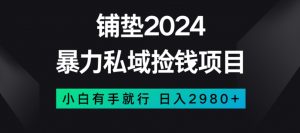 暴力私域捡钱项目，小白无脑操作，日入2980【揭秘】-遨游资源库
