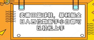 卖莆田篮球鞋，暴利掘金日入四位数新手小白都可以轻松上手【揭秘】-遨游资源库